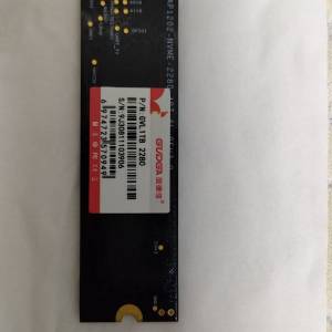 1T SSD