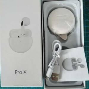 pro 6