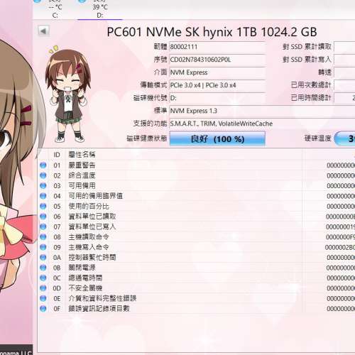 SK海力士 PC601 HFS001TD9TNG-L2A0A 1TB