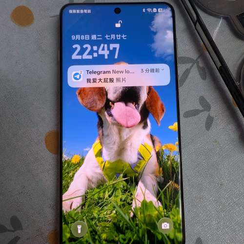 Oppo find x8 pro