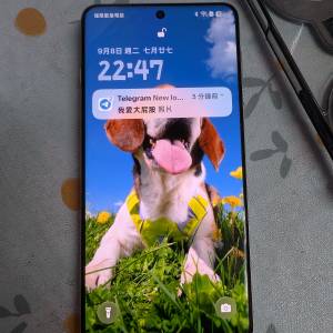 Oppo find x8 pro