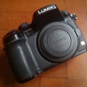 Panasonic Lumix GH3  無反相機