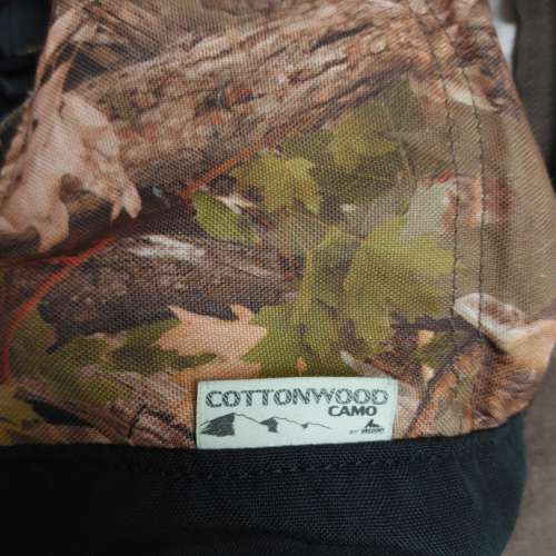 Gregory Day Backpack Cottonwood Camo 迷彩 絕版舊logo